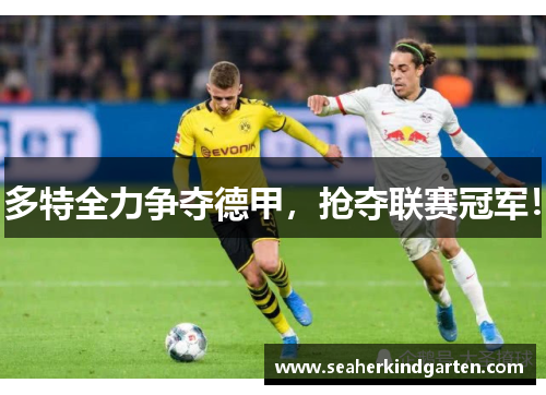 多特全力争夺德甲，抢夺联赛冠军！